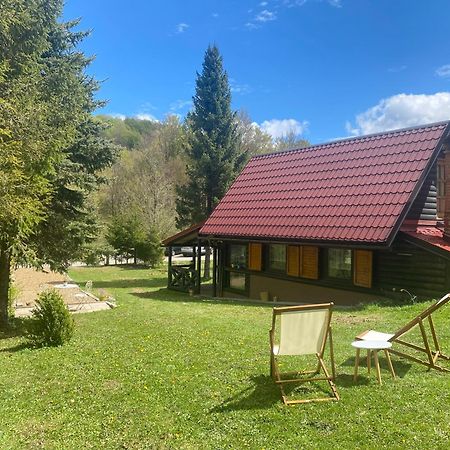 Villa Puhova Koliba à Delnice Extérieur photo